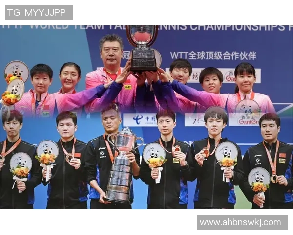 成都乒乓球队在全国比赛经验排行榜中荣获第五名的辉煌成就